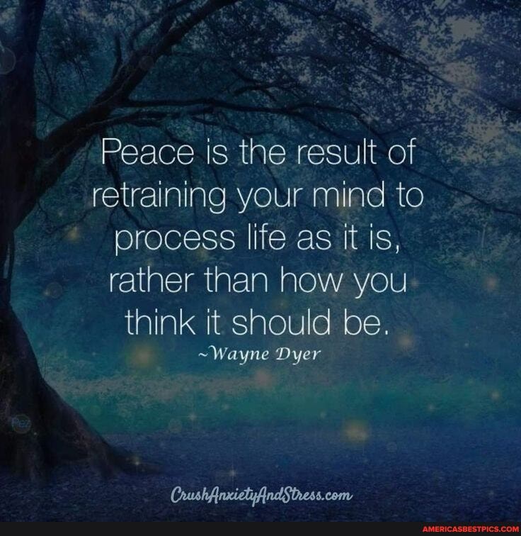 Peace is the result of retraining your mind to process life as it is, rather than how you think it should be.
~Wayne Dyer
