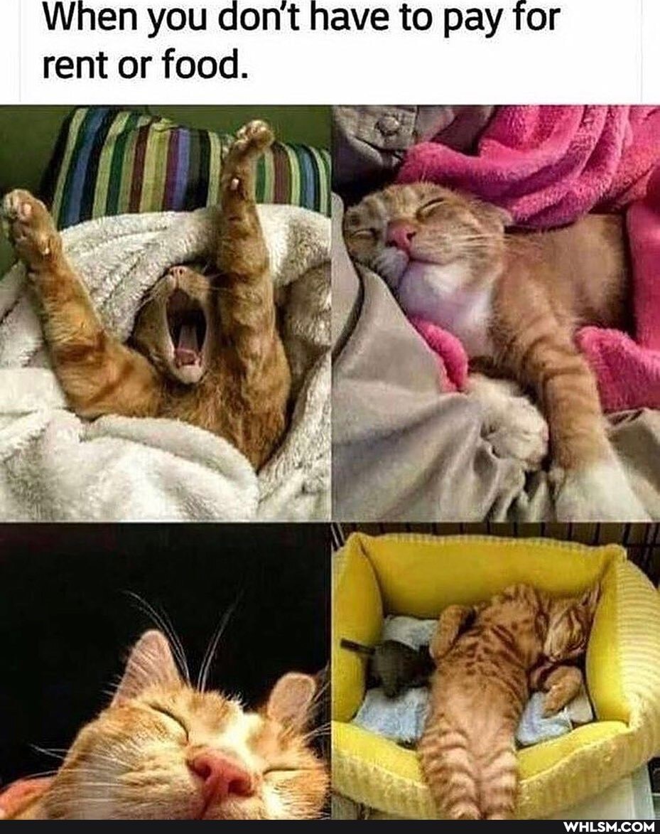 When you dont have to pay for rent or food.
'if
if