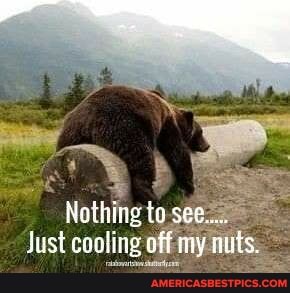 Nothing to see...
Just cooling off my auts,