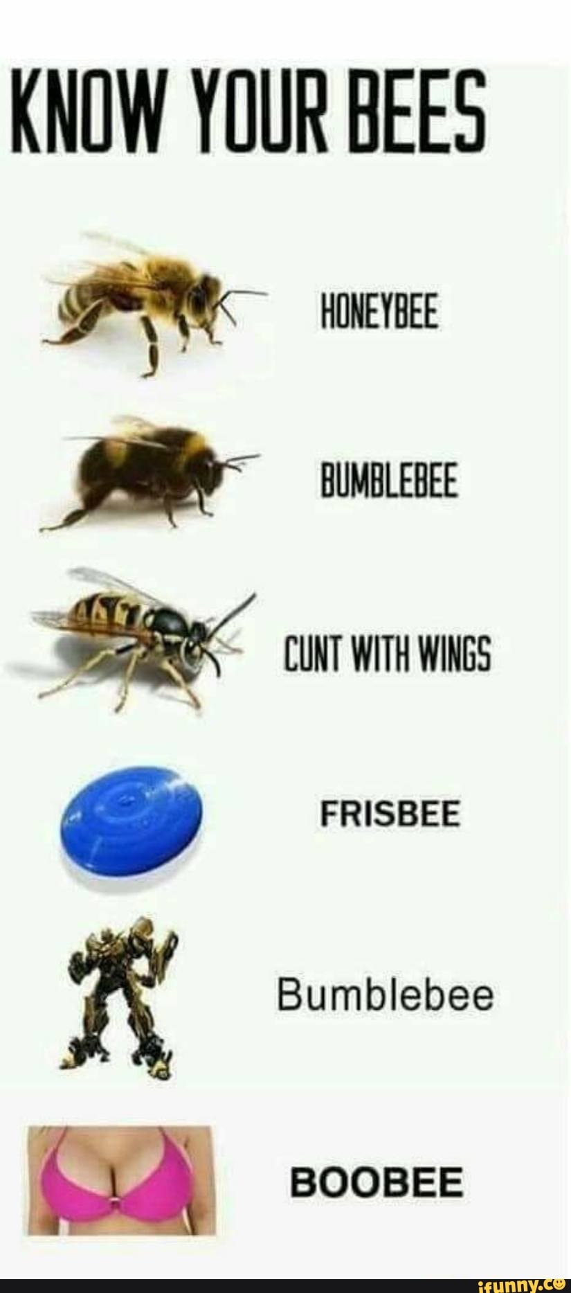 Hey Im Bee Tits