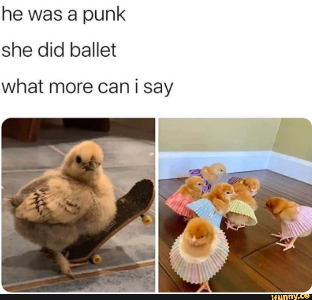 He was a punk she did ballet what more can i say - iFunny