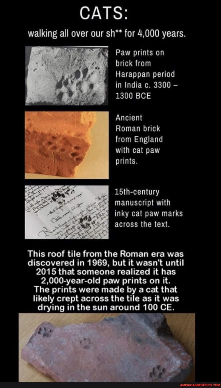 CATS: walking all over our sh** for 4,000 years.
Paw prints on brick from
Harappan period in India c. 3300 -
1300 BCE
Ancient
Roman brick from England with cat paw prints.
15th-century manuscript with inky cat paw marks across the text.
This roof tile from the Roman era was discovered in 1969, but it wasn't until
2015 that someone realized it has
2,000-year-old paw prints on it.
The prints were made by a cat that likely crept across the tile as it was drying in the sun around 100 CE.
