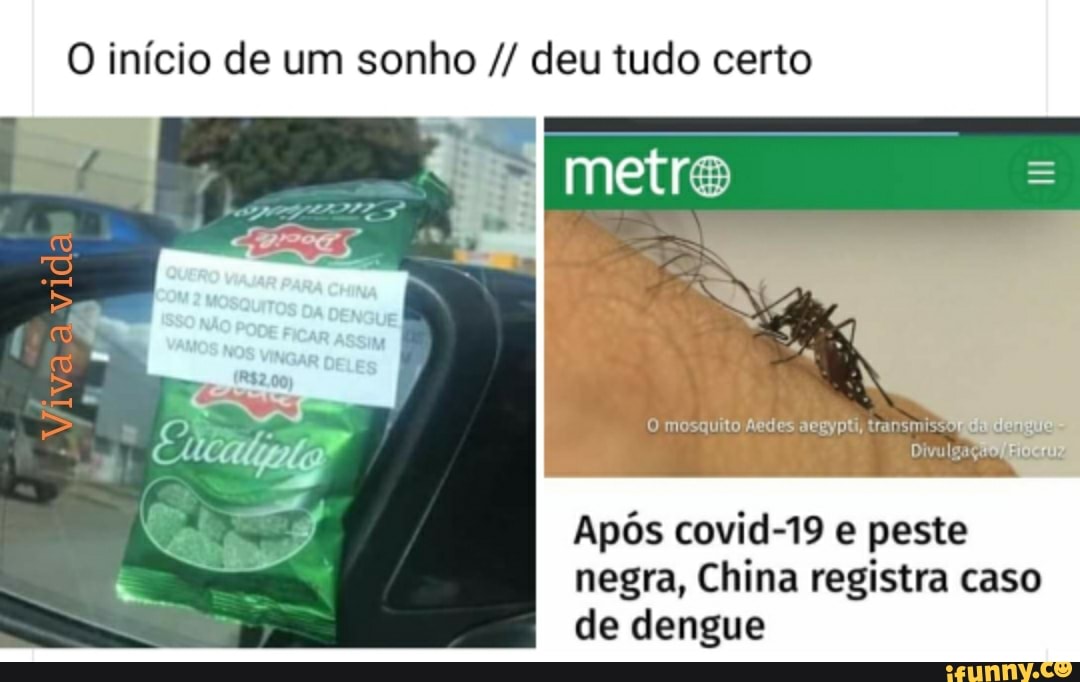 O início de um sonho deu tudo certo
O mosquito Aedes aegypti, transmissão
Divulg
Após covid-19 e peste
negra, China registra caso
de dengue
