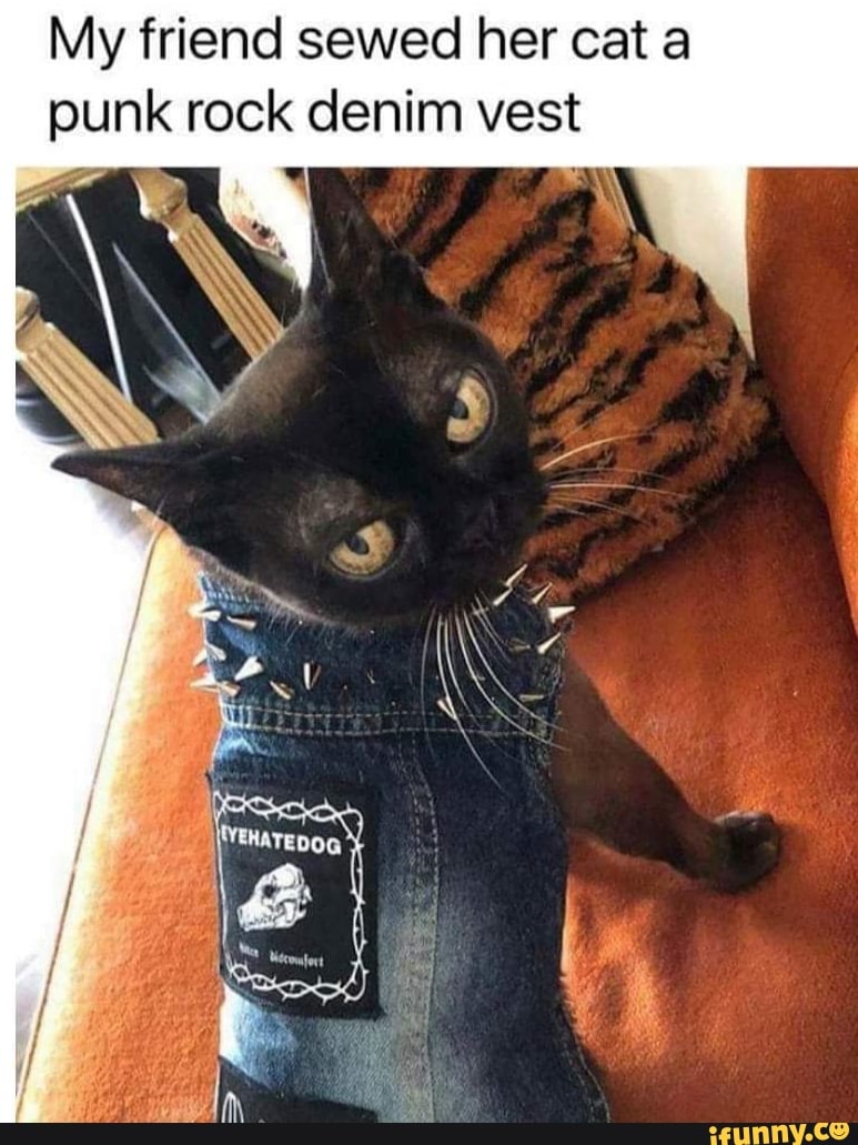 Cat on sale punk vest