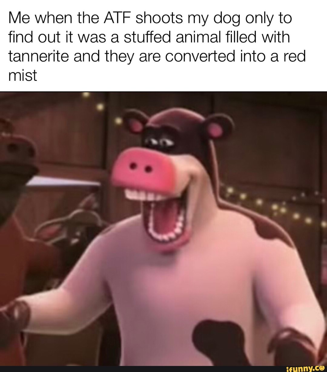 tannerite stuffed dog amazon