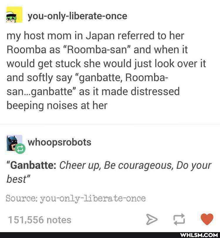 my host mom in Japan referred to her
Roomba as "Roomba-san" and when it would get stuck she would just look over it and softly say "ganbatte, Roomba- san...ganbatte" as it made distressed beeping noises at her
"Ganbatte: Cheer up, Be courageous, Do your best"
Source: you-only-liberate-once
151,556 notes @
