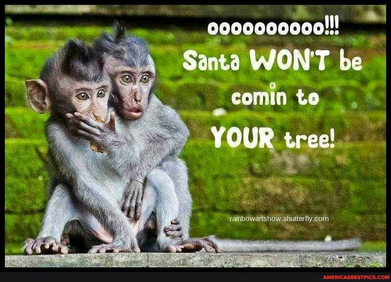 0000000000!!!
Santa WON'T be
comin to
YOUR tree!