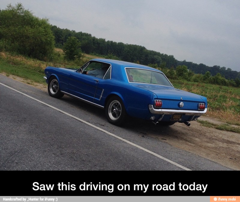 Saw this driving on my road today - Saw this driving on my road today