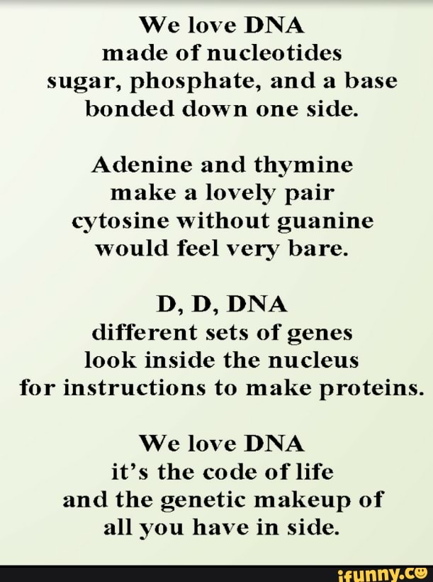 dna molecule sugar phosphate backbone and nucleotides