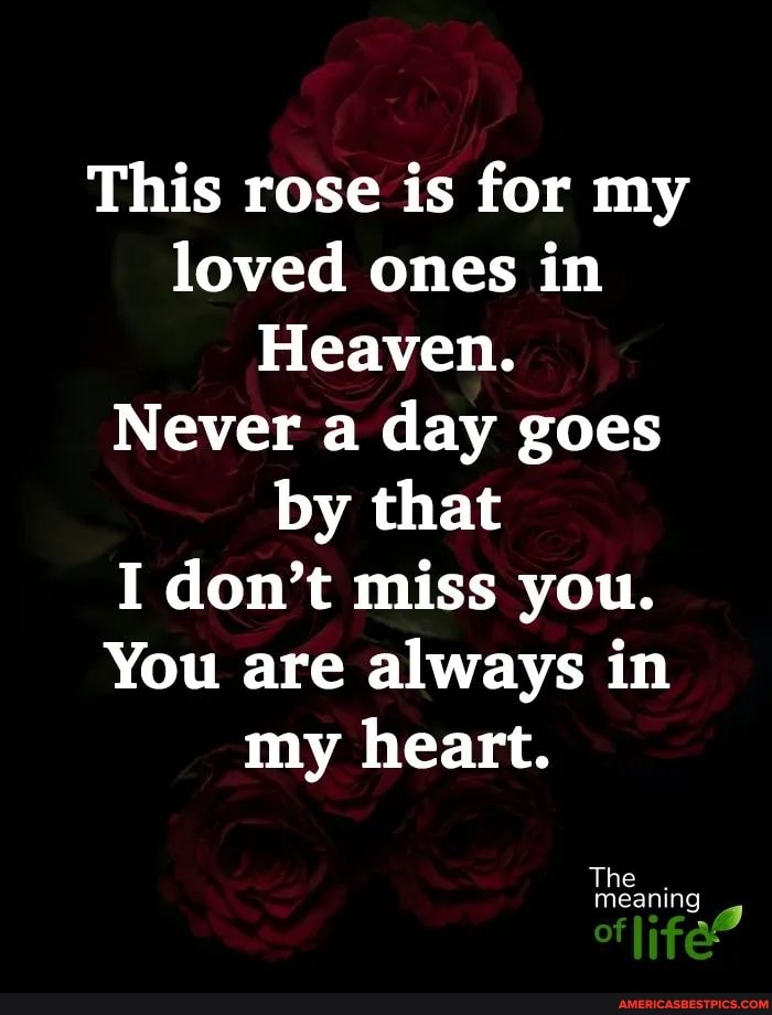 This rose is for my loved ones in Heaven. Never a day goes by that I ...