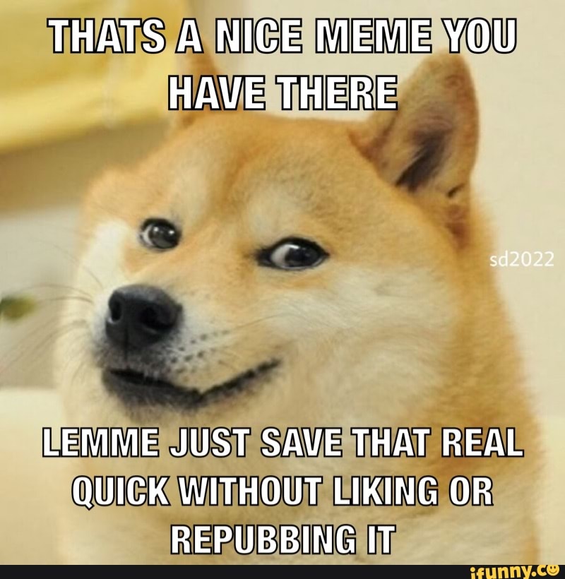 Reactiondoge memes. Best Collection of funny Reactiondoge pictures on ...