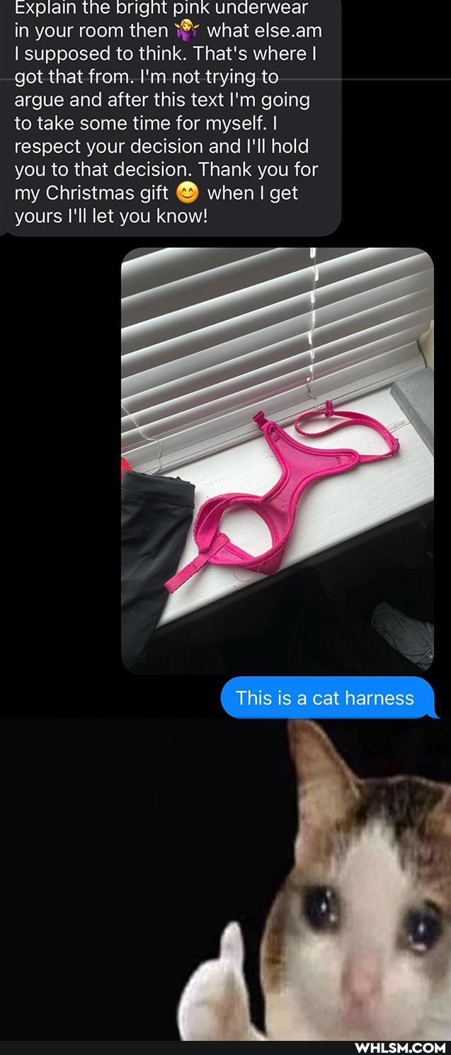 Explain the bright pink underwear in your room then what else.arn
I supposed to think. That's where I got that from. I'm not trying to argue and after this text I'm going to take some time for myself. I I respect your decision and I'll hold you to that decision. Thank you for my Christmas gi when I get yours I'll let you know!
This is a cat harness