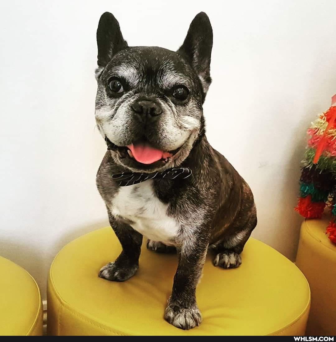 loveyourpets, pets, dogs_are_the_best_people, best_friends