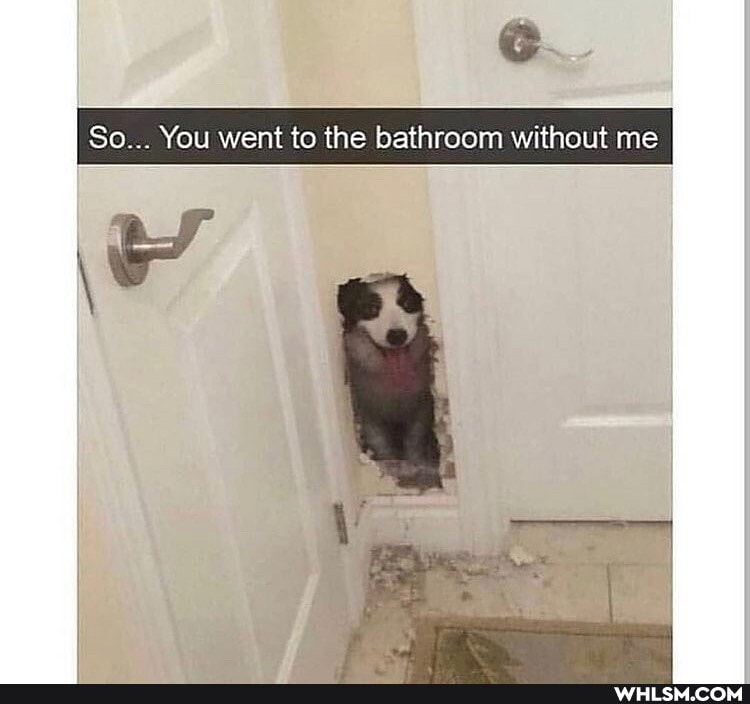 So... You went to the bathroom without me