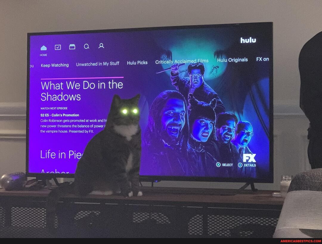 aoe a A
HOME
ulu Originals FXon
Keep Watching Unwatched in My Stuff Hulu Picks
What We Do in the
Shadows
WATCH NEXT EPISODE
$2 - Colin's Promotion
Colin Robinson gets promoted at work and hi new power threatens the balance of power
the vampire house. Presented by FX.
Life in Pie