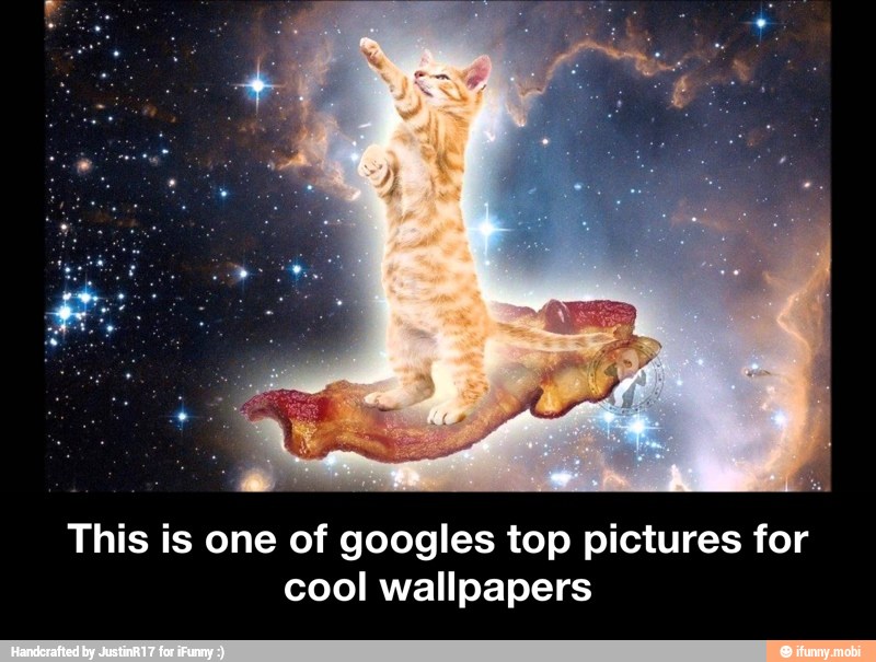 This is one of googles top pictures for
cool wallpapers - This is one of googles top pictures for cool wallpapers