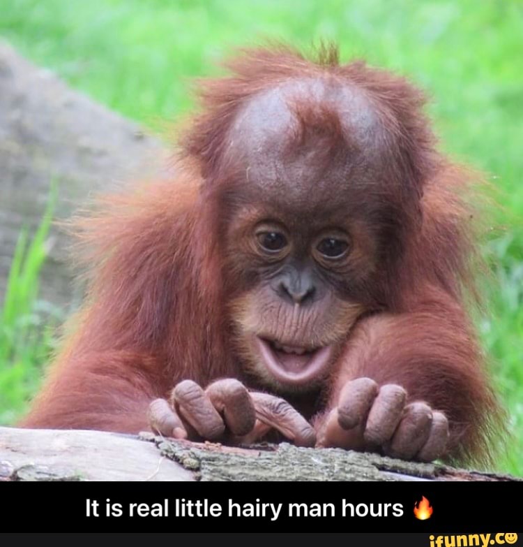 It Is Real Little Hairy Man Hours It Is Real Little Hairy Man Hours It Is Real Little Hairy Man Hours It Is Real Little Hairy Man Hours