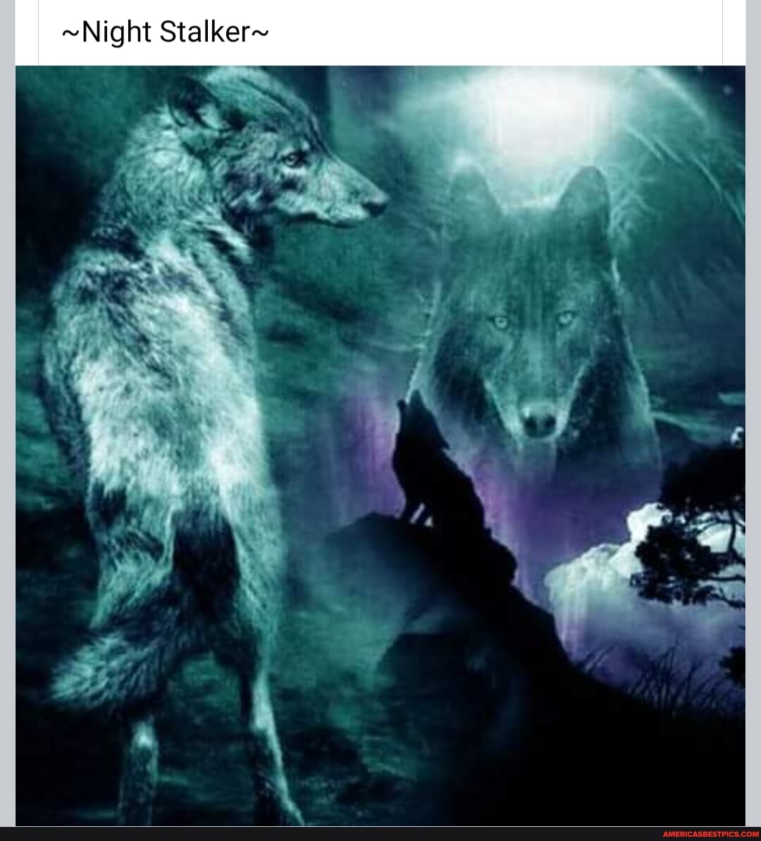 ~Night Stalker~