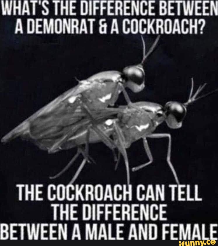 WHATS THE DIFFERENCE BETWEEN A DEMONRAT & A COCKROACH? RETWEEN A MALE ...
