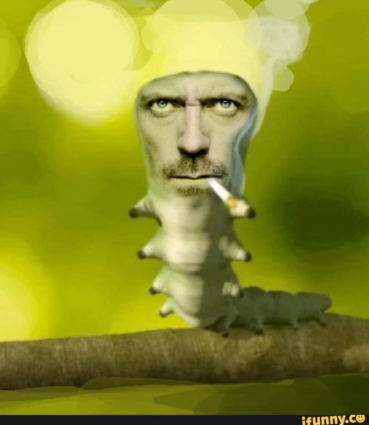 Housemd memes. Best Collection of funny