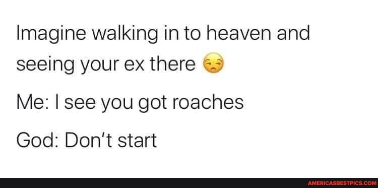 Imagine walking in to heaven and seeing your ex there
Me: I see you got roaches
God: Don't start
