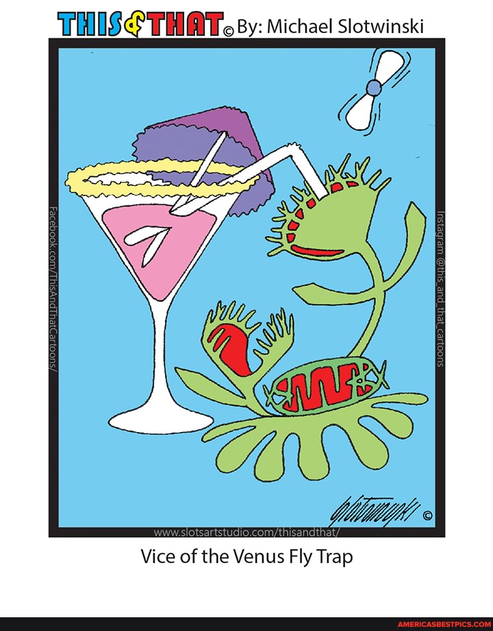 THIS THAT. By: Michael Slotwinski
Vice of the Venus Fly Trap