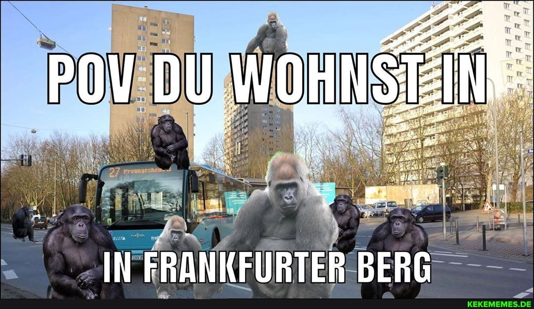 IN FRANKFURTER BERG