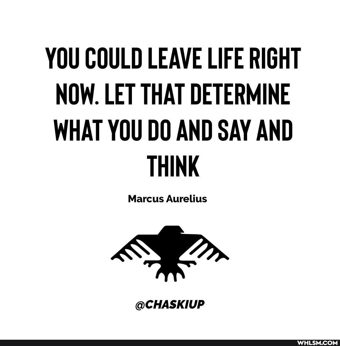 YOU COULD LEAVE LIFE RIGHT NOW. LET THAT DETERMINE WHAT YOU DO AND SAY AND
THINK
Marcus Aurelius
@CHASKIUP