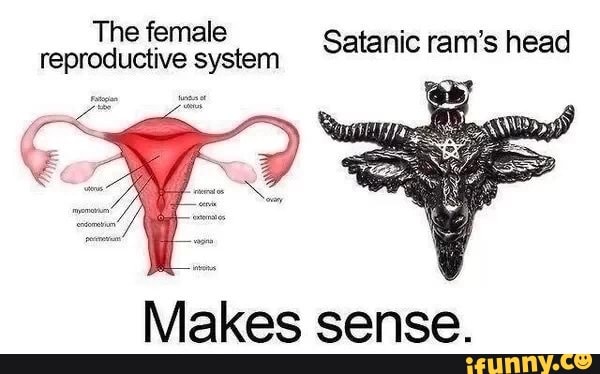ISC Ff 5
reproductive system
Satanic ram's head
Makes sense.