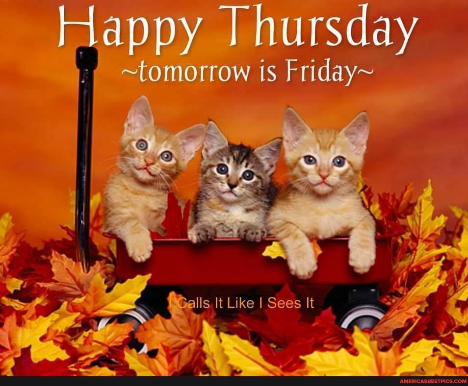 Happy Thursday
~tomorrow is Friday~
balls s It Like I Sees It