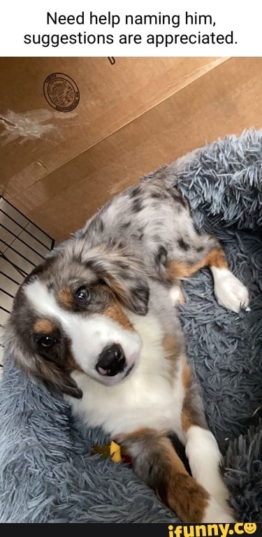 Need help naming him, suggestions are appreciated