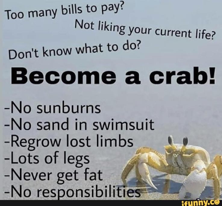 Too many
bills to
pay"
Not liking your current life?
Don't know what to do?
Become a crab!
-No sunburns
-No sand in swimsuit
-Regrow lost limbs 4
Spa -Lots of legs PARA Ay
-Never get fat
EAR LN
-No responsibilities= re