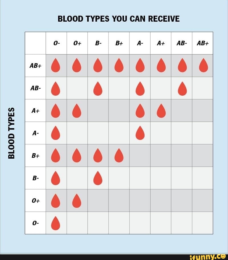 BLOOD TYPES TYPES TYPES TYPES ~oe BLOOD TYPES YOU CAN RECEIVE I I + I ...