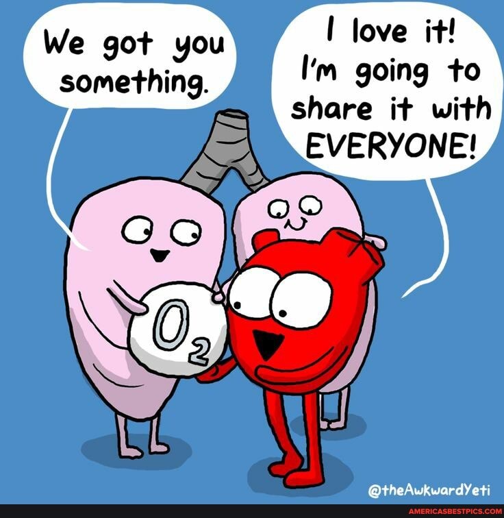 love it!
I'm going to share it with
EVERYONE!
We got you something.