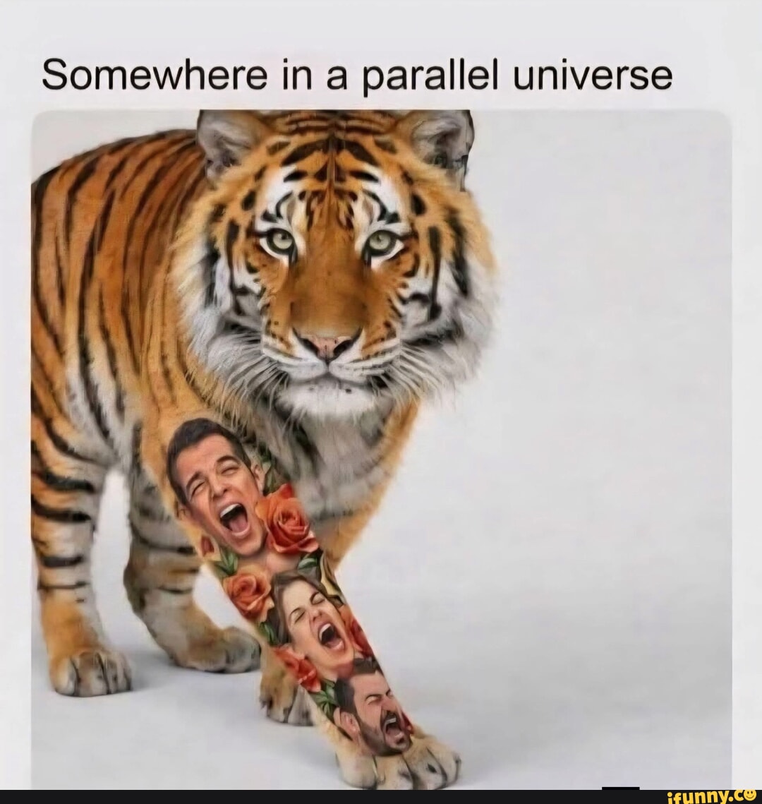 Parallel memes. Best Collection of funny Parallel pictures on iFunny