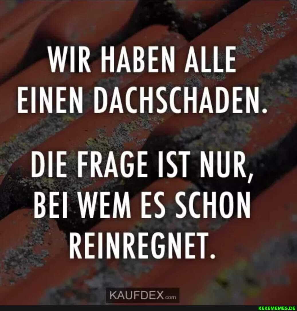 WIR HABEN ALLE EINEN DACHSCHADEN.
DIE FRAGE IST NUR,
BEI WEM ES SCHON REINREGNET.