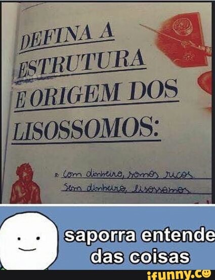 e
AGEM DOS
LISOSSOMOS: