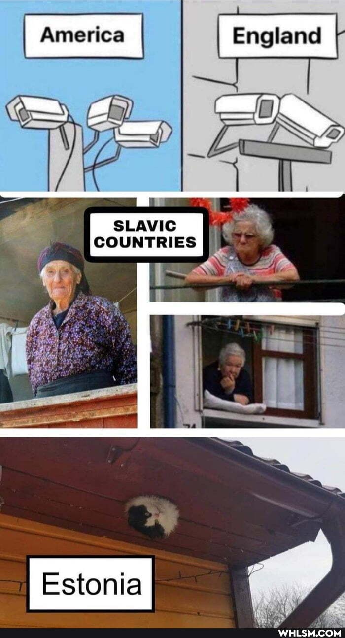 America
SLAVIC COUNTRIES
Estonia