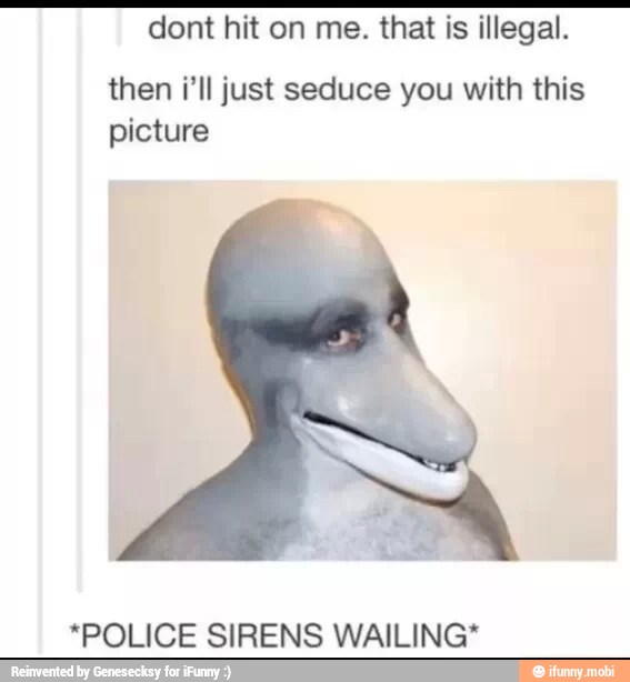 dont hit on me. that is illegal.
then i'll just seduce you with this
picture
*POLICE SIRENS WAILING*