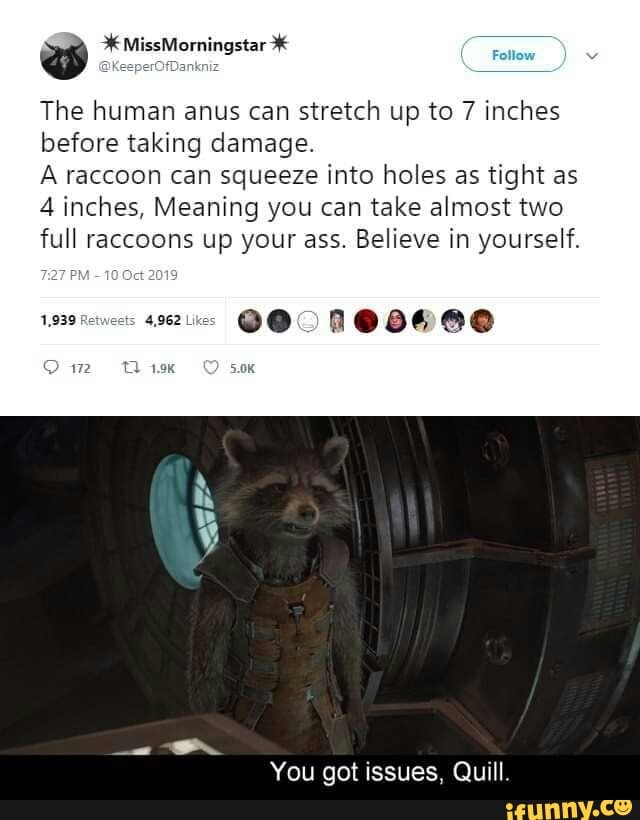 NSFW Meaning you can take almost two full raccoons up your ass. :  r/BrandNewSentence