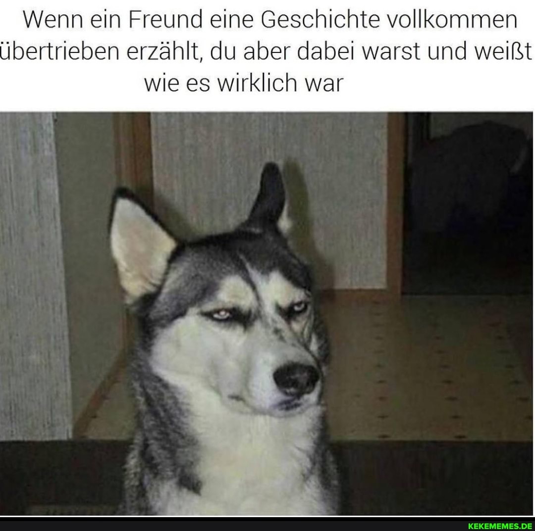 Wenn ein Freund eine Geschichte vollkommen übertrieben erzählt, du aber dabei warst und weißt wie es wirklich war