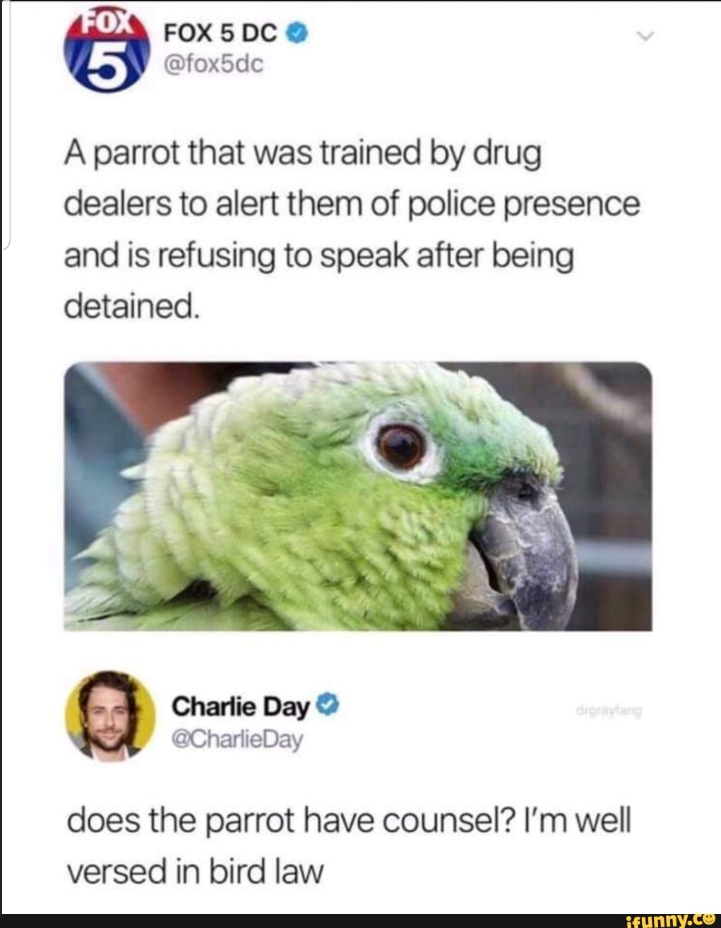 is owning a parrot legal
