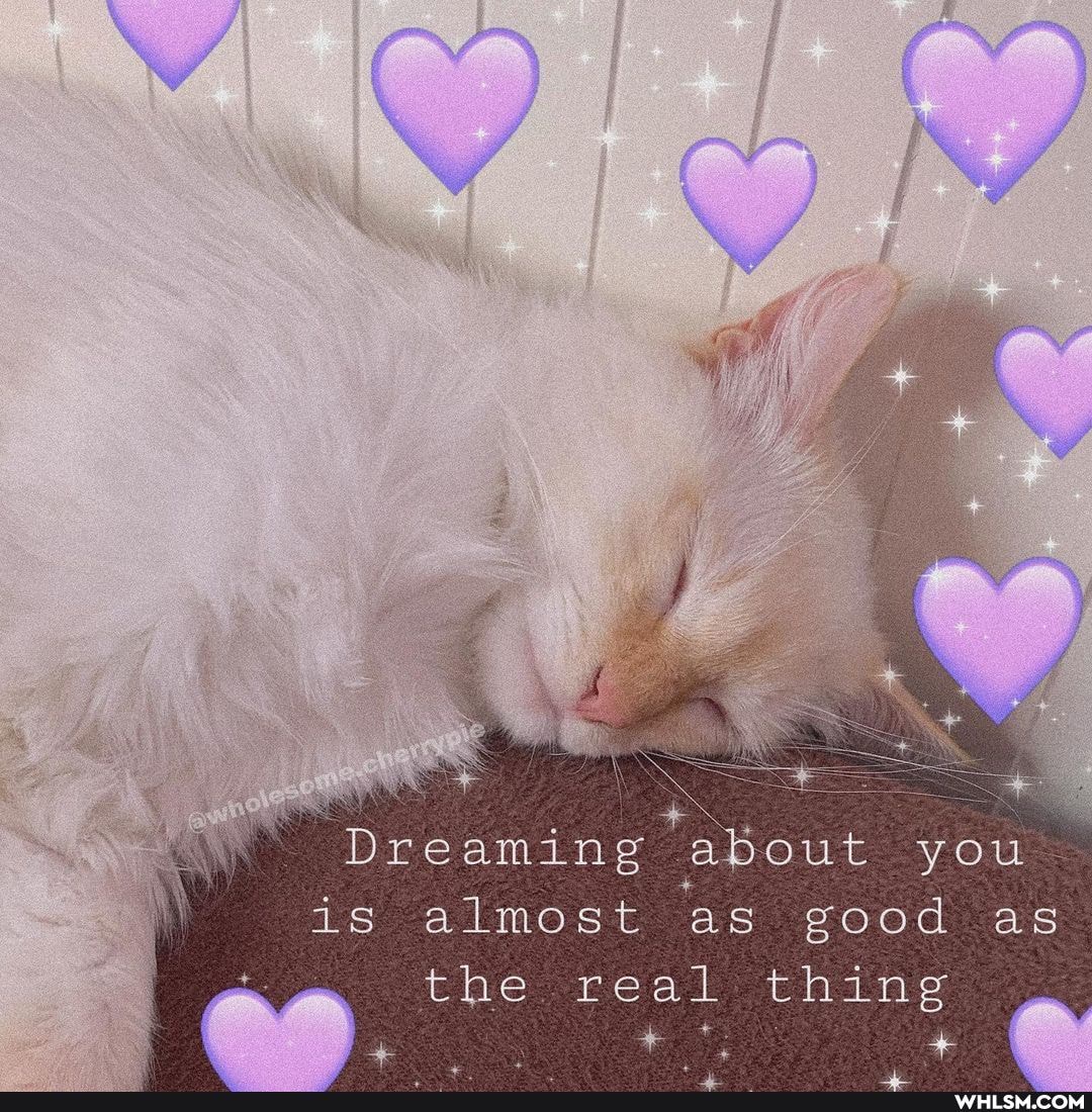 Dreaming about you is almost as good as the real thing
, +