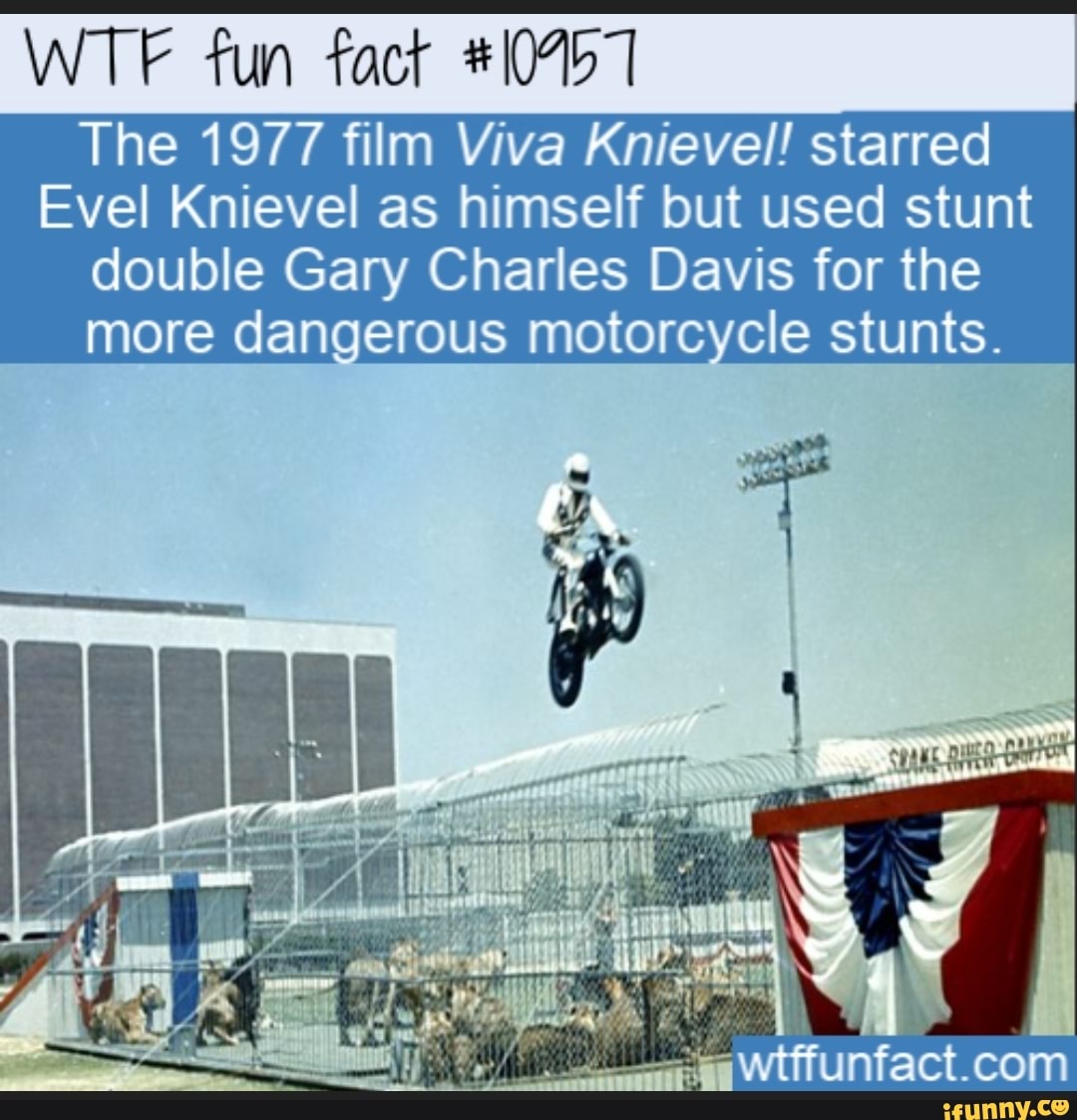 WTF fun fact 10457 The 1977 film Viva Knievel! starred
