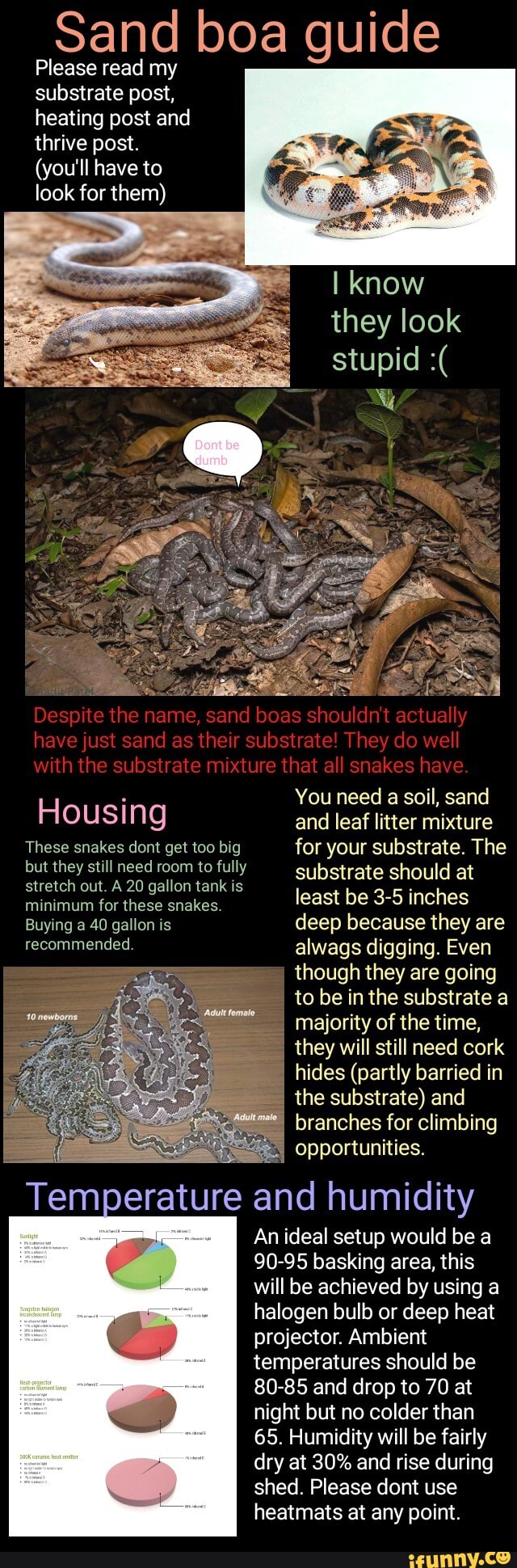 Sand boa guide Please read my substrate post, heating post and thrive
