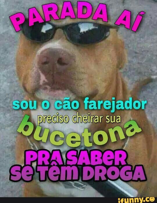 sou cão farejador