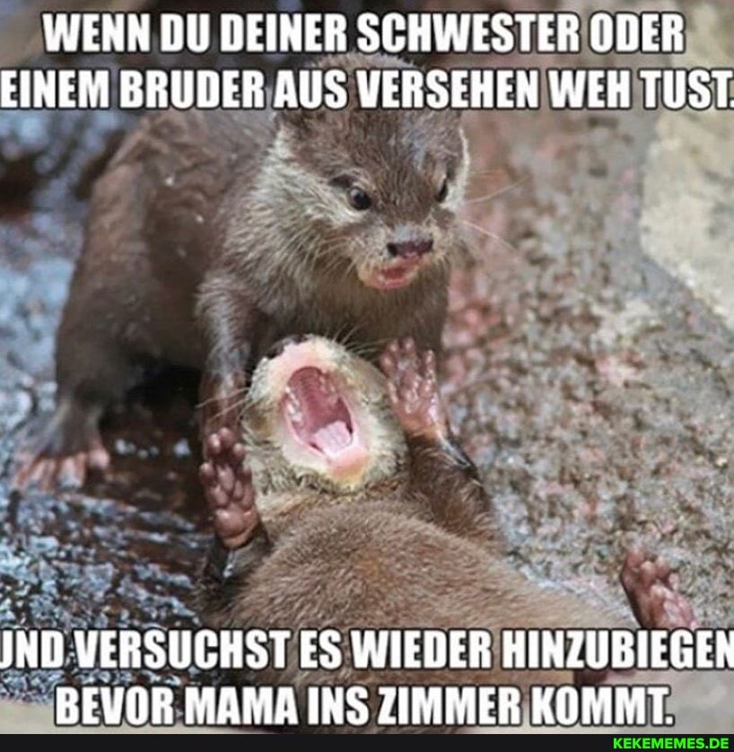 WENN DU DEINER SCHWESTER ODER EINEM BRUDER AUS VERSEHEN WEH TUST
JND VERSUCHST ES WIEDER HINZUBIEGER RFUNR MAMA INS 7IMMER KNMMT