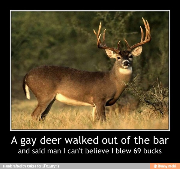 A gay deer walked out of the bar
and said man I can't believe I blew 69 bucks - A gay deer walked out of the bar
and said man I can't believe I blew 69 bucks