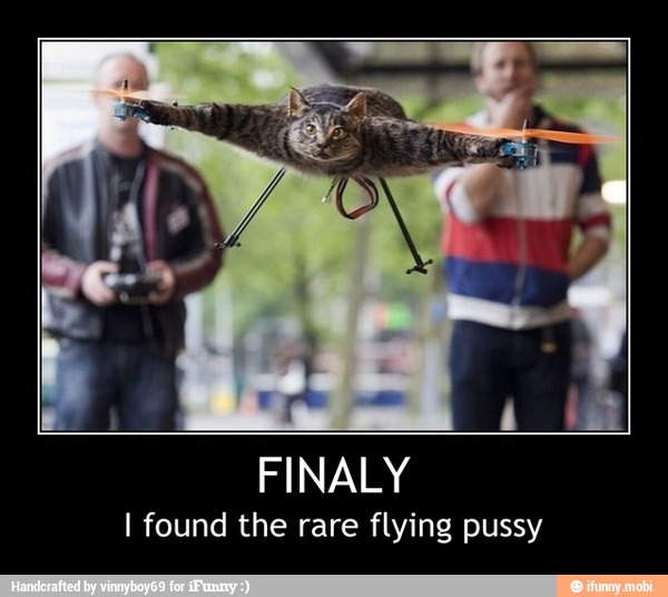 FINALY
I found the rare flying pussy - FINALY
I found the rare flying pussy