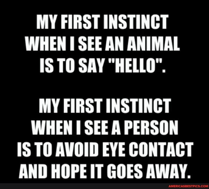 MY FIRST INSTINCT WHEN SEE AN ANIMAL IS TO SAY "HELLO".
MY FIRST INSTINCT WHEN SEE A PERSON IS TO AVOID EYE CONTACT AND HOPE IT GOES AWAY.